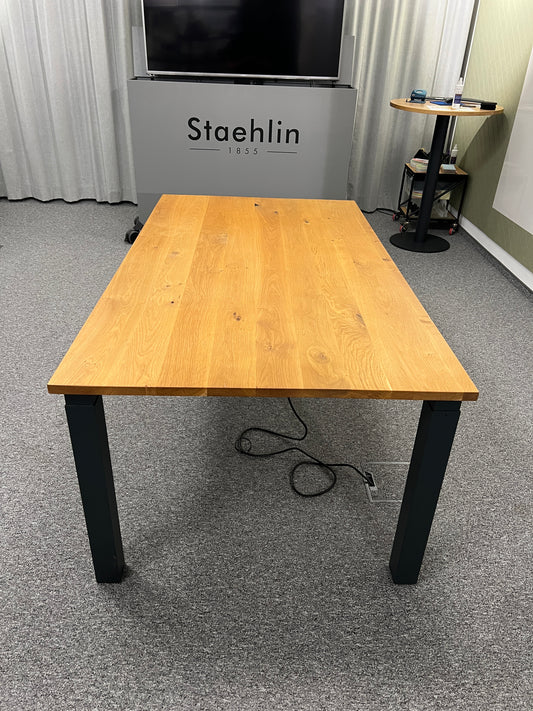 Palmberg Besprechungstisch
